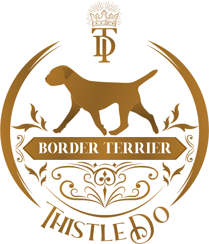 THISTLE-DO-LOGO